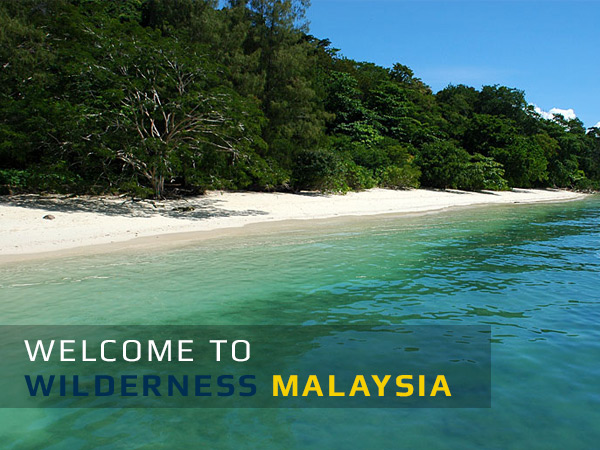 About Wilderness Malaysia